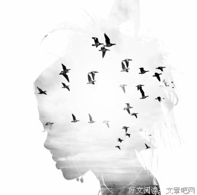 《天才医院》经典观后感1000字