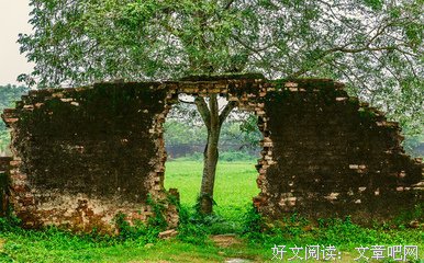 《京城一枝花》的句子
