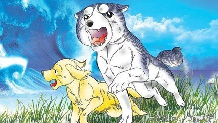 《为什么受伤的总是我》读后感锦集