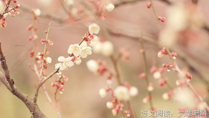 15条关于大一统的经典语句