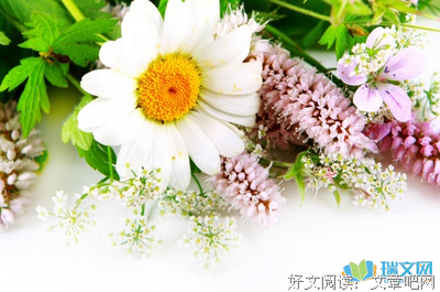 关于大喊大叫的名句摘抄