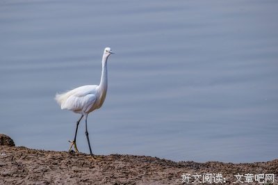 关于闲庭信步的语句