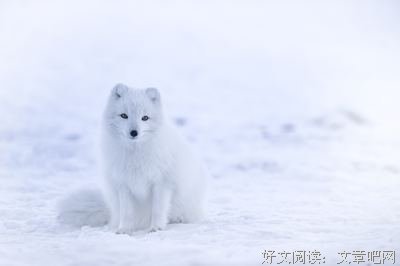 有关大好河山的美句摘抄