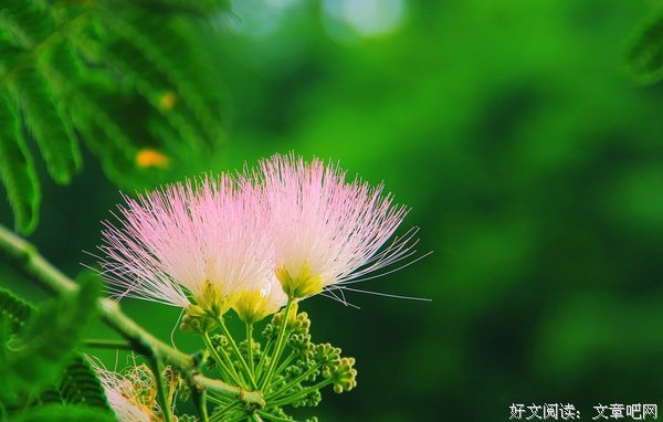 关于忠贞不渝的座右铭