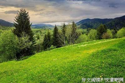 我喜欢听你说你越来越喜欢我 优美的句子