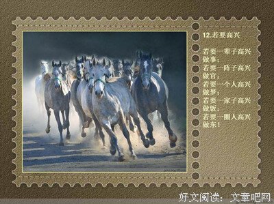 安妮经典名句