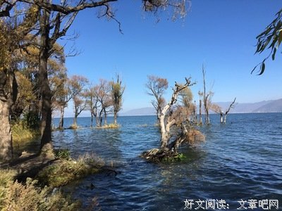 《屏住呼吸》的影评大全