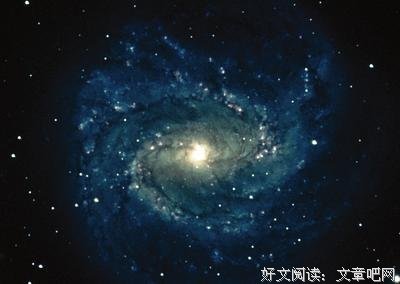 紫微 