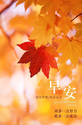 积累句子