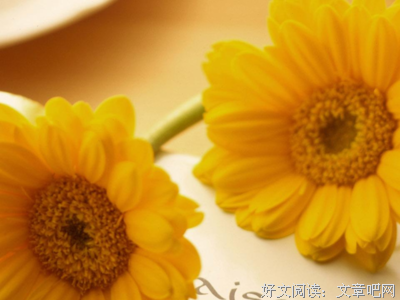 勿忘句子大全