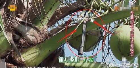 有关LOL的句子