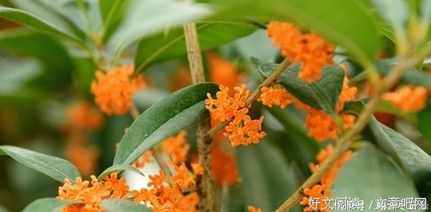 七月再见，八月你好！