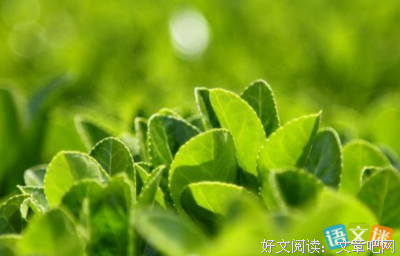得月道些词语太过深入人心
