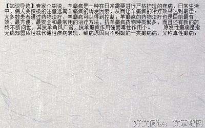 《X探险特工队：穿梭时空之争 老虎×狮子》读后感锦集