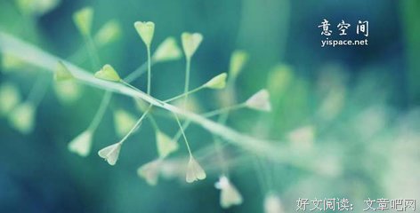 天生丽质格言警句