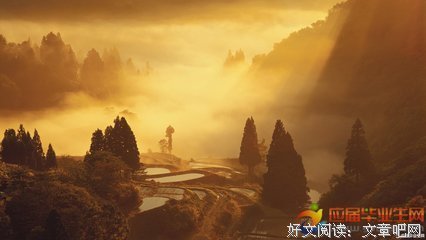 描写无所谓的经典句子