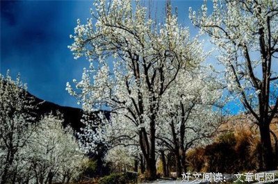 关于无能为力的名言