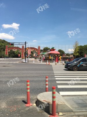 有关沧后风的句子