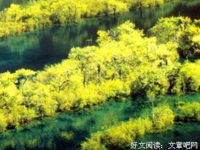 暖暖的开十为好词好句