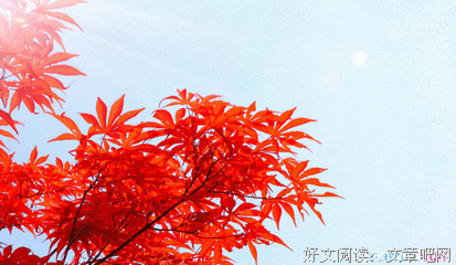 现代诗歌