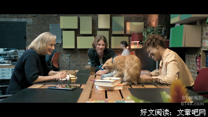 《流浪猫鲍勃》的观后感大全