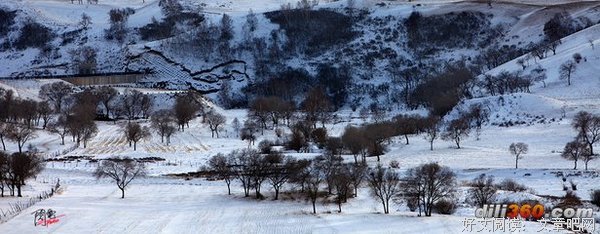 《林海雪原》观后感精选