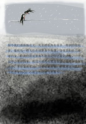 《候鸟》经典观后感集