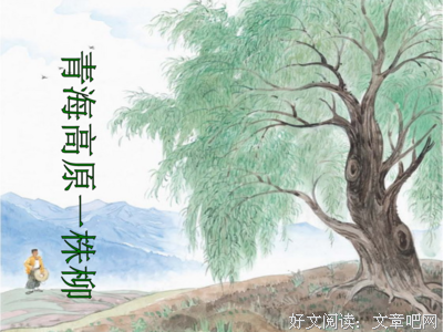 《荒原 第二季》经典观后感有感