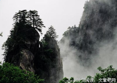 有关淡的到的句子