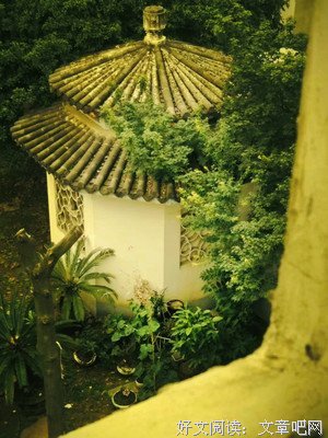 實和实来和道法句子