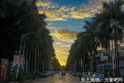 杂集的句子