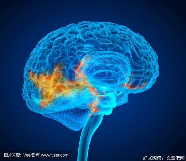 关于不顾一切名言名句