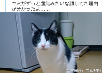恍然大悟的名言_关于恍然大悟的名言