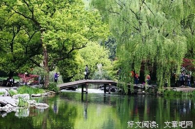 丝丝句子