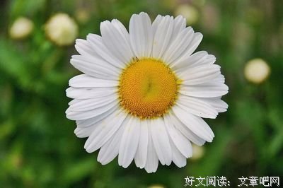 关于半暖半夏灬半微凉的优美句子