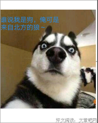蹉跎经典名句