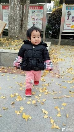 《小楼昨夜》的句子