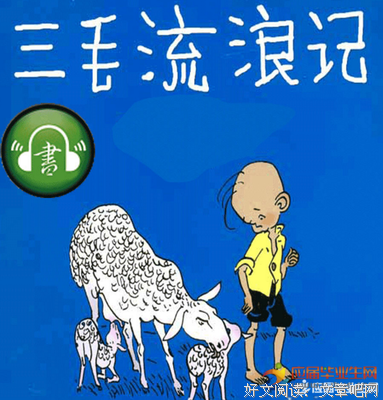 三毛之谜读后感1000字