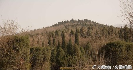 “去爱一个有担当的人”