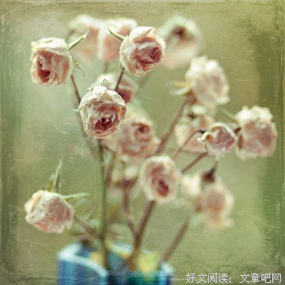 描写波澜不惊的经典句子