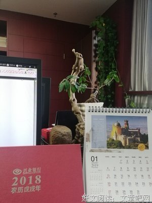 时光那么浅，岁月那么短