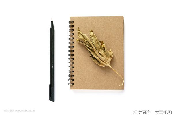 关于死亡的音符的优美句子