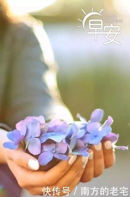 《才物一天日热门》的句子
