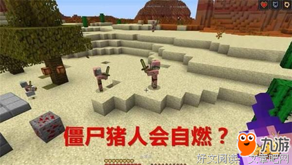 你做你的太阳，我做我的月亮