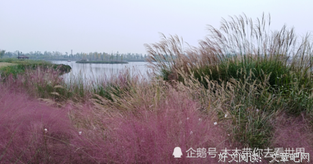 有关殷琉璃的名言