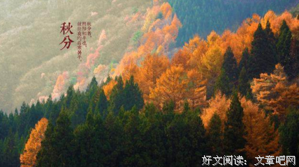 轮辉句子大全