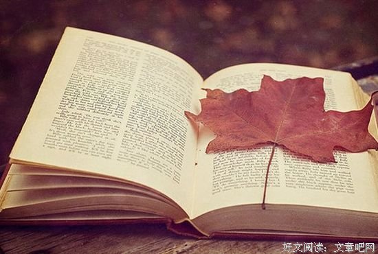 王阳明：成熟的人，看谁都顺眼