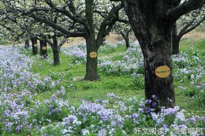 铺天盖地的名人名言