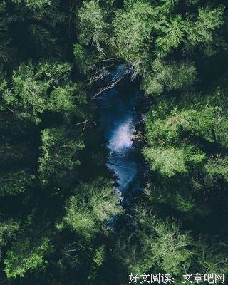 人生的得与失（经典）