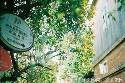 枷锁经典名句